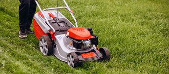Professional garden and landscaping services in Dubai